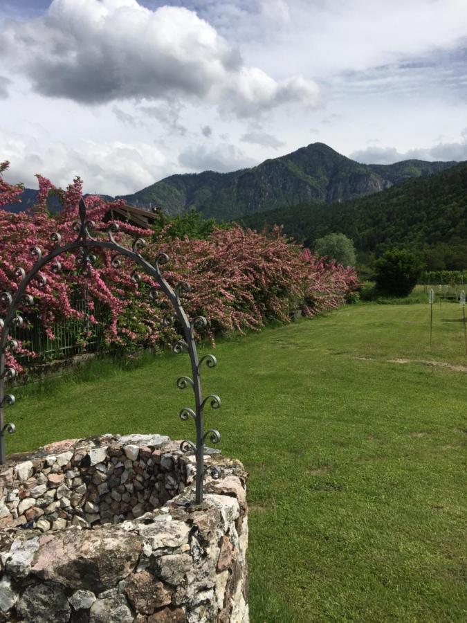 Paradiso Sul Lago 卡塞兰尼卡奥拉格 外观 照片