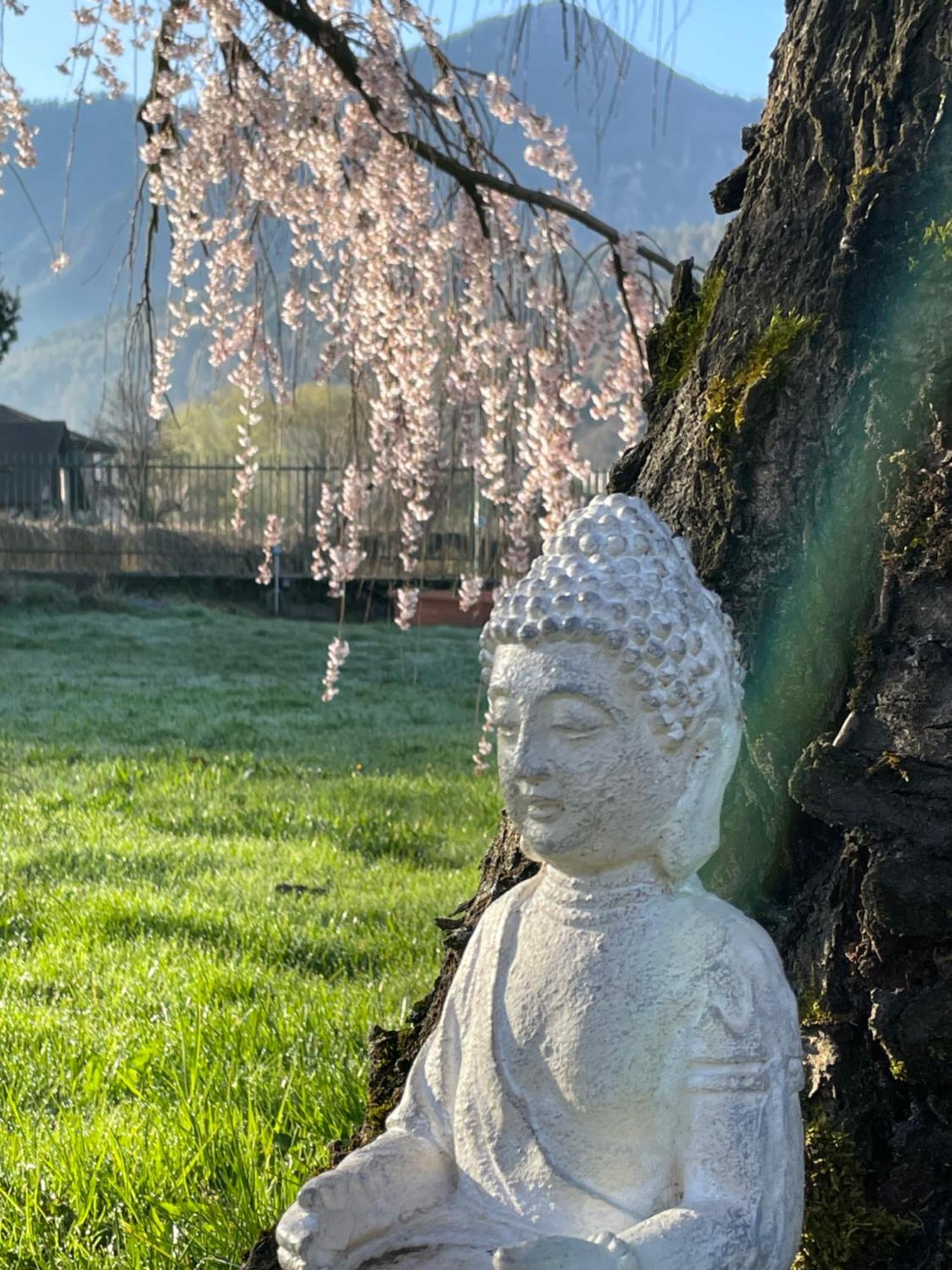 Paradiso Sul Lago 卡塞兰尼卡奥拉格 外观 照片
