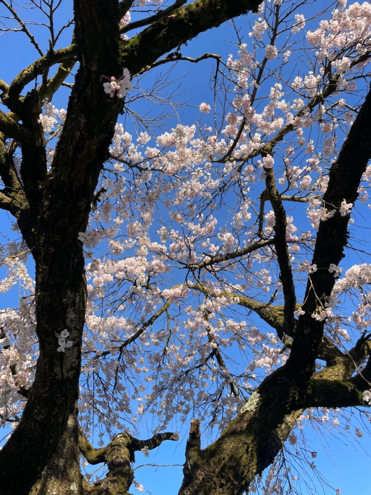 Paradiso Sul Lago 卡塞兰尼卡奥拉格 外观 照片